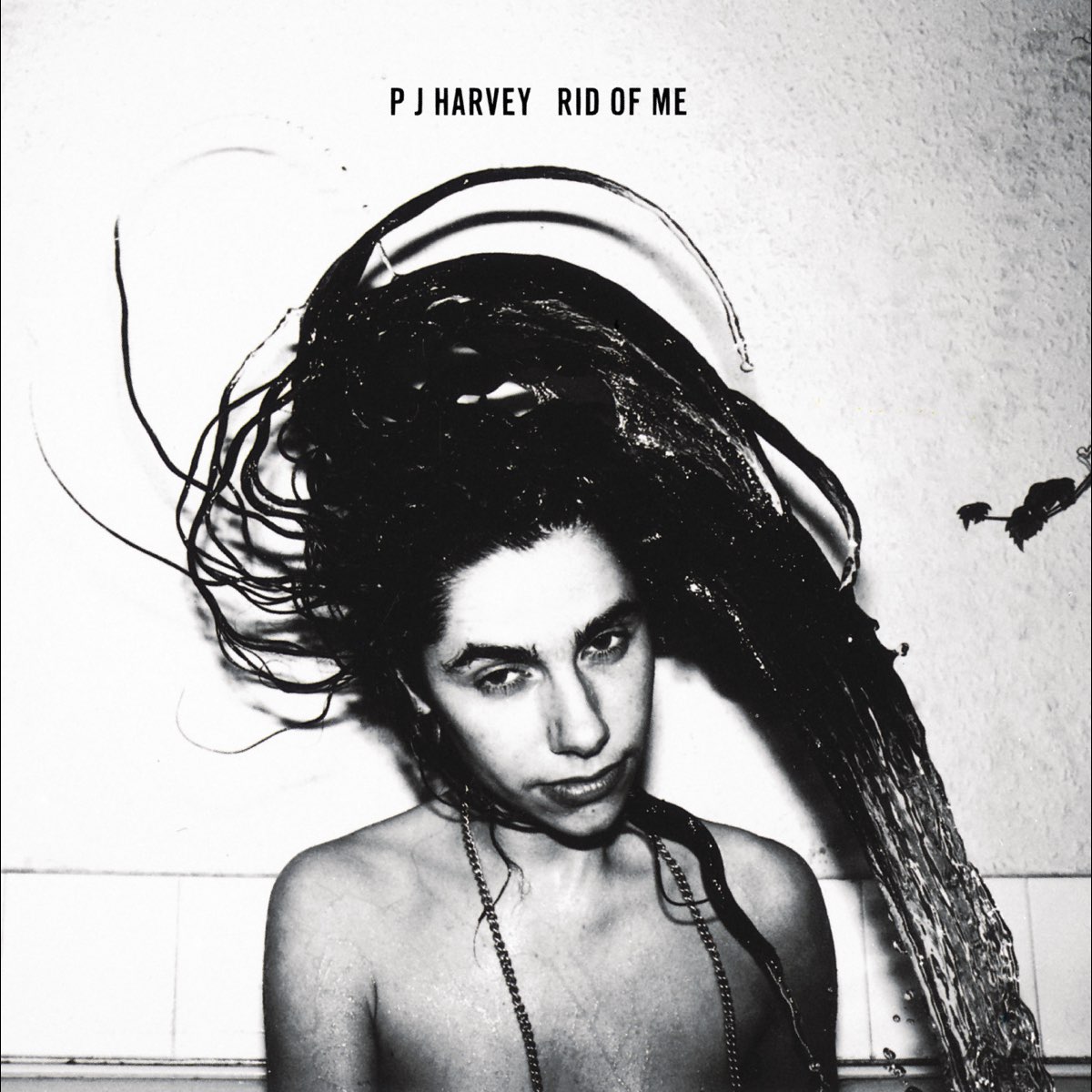 PJ Harvey - Rid Of Me