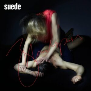 Suede &#8211; Schweiß und Blut