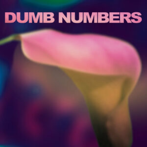 Dumb Numbers &#8211; Supergroup