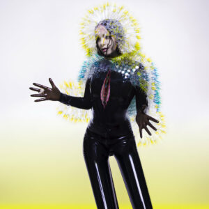 Björk veröffentlicht nach Leak überraschend neues Album &#8220;Vulnicura&#8221;