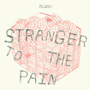 Pllush - Stranger To The Rain