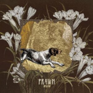 Prawn kündigen neues Album an, streamen &#8220;North Lynx&#8221;