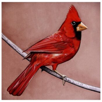 Alexisonfire - Old Crows / Young Cardinals