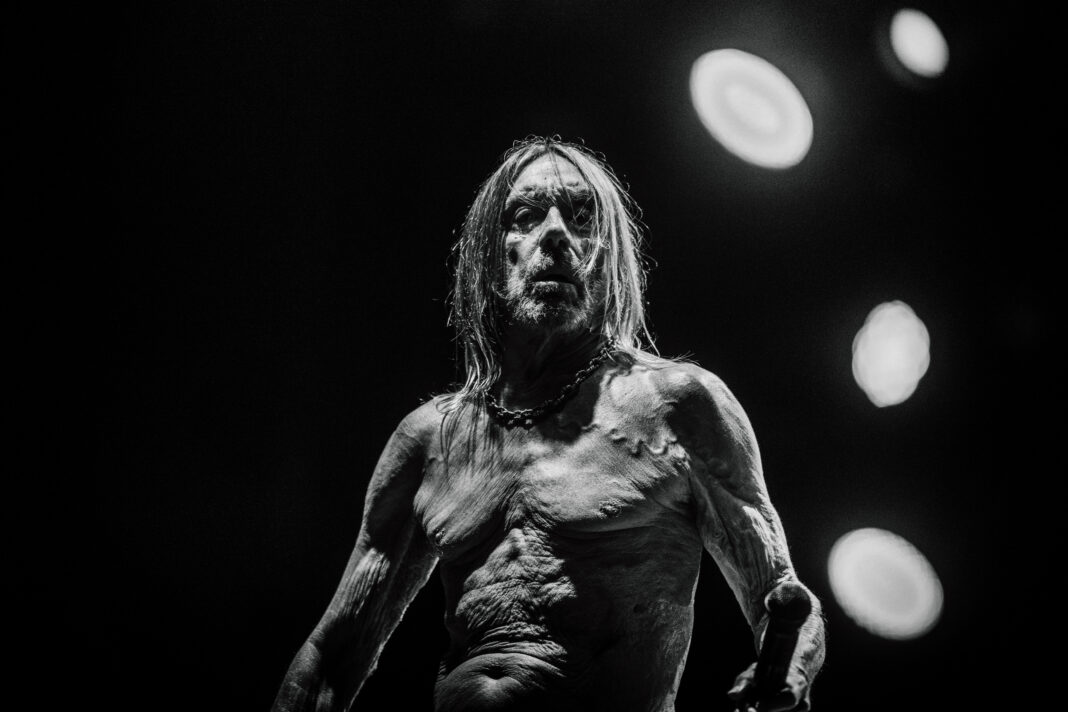 Iggy Pop - Press Image 2022 3 (Credit Vincent Guignet)