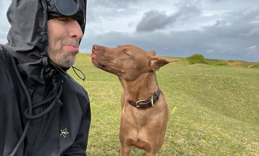 Liam Gallagher und Hündin Buttons (Screenshot Instagram / Liam Gallagher)