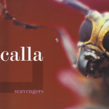 Calla - Scavengers