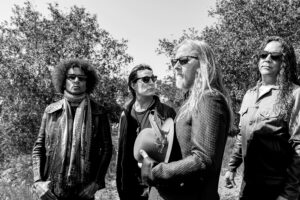 Alice In Chains - Reissue  – Vinyl With Flies