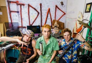 Fidlar - Akustik-EP  – No amps harmed