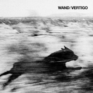 Wand Vertigo Cover